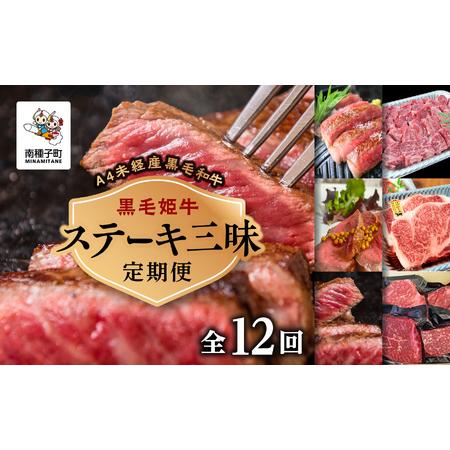 ふるさと納税 【定期便】ステーキ三昧（全12回）【Meat you Kitchen姫ファーム】 鹿児...