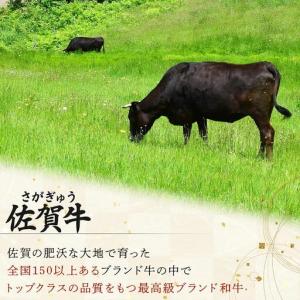 ふるさと納税 佐賀牛しゃぶしゃぶ・すき焼きセッ...の詳細画像1