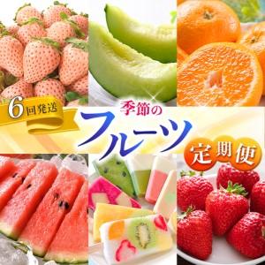 ふるさと納税 【 定期便6回 】 熊本 人気 フルーツ | 果物 白いちご 淡雪 不知火 デコポン みかん いちご イチゴ メロン すいか スイカ アイス .. 熊本県玉名市