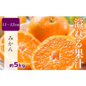 ふるさと納税 【 定期便6回 】 熊本 人気 ...の詳細画像1