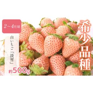 ふるさと納税 【 定期便6回 】 熊本 人気 ...の詳細画像2