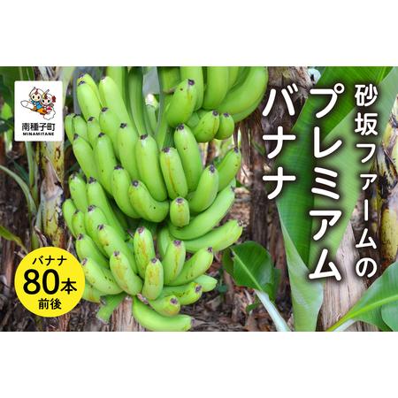 ふるさと納税 砂坂ファームのプレミアムバナナ （８０本前後）【南種子町観光物産館 トンミー市場】 鹿...