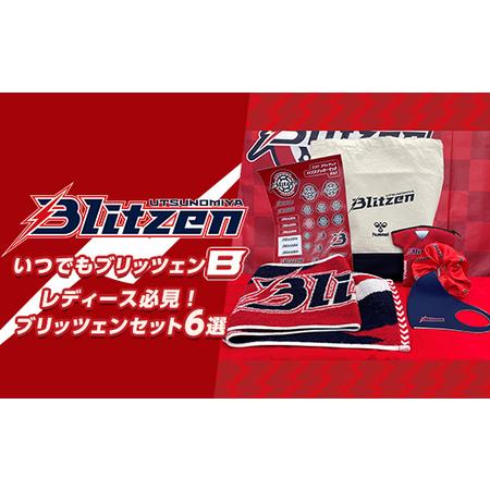 ふるさと納税 いつでもブリッツェンB ※着日指定不可 |プロスポーツチームグッズ 栃木県宇都宮市