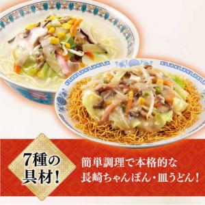 ふるさと納税 【12回定期便】ちゃんぽん・皿う...の詳細画像2