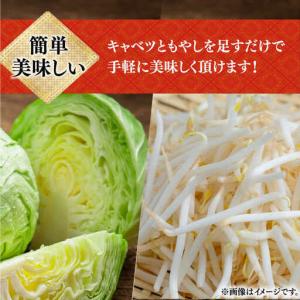 ふるさと納税 【12回定期便】ちゃんぽん・皿う...の詳細画像3