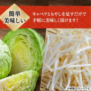 ふるさと納税 【12回定期便】皿うどん6袋 [...の詳細画像3