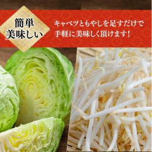 ふるさと納税 【12回定期便】長崎ちゃんぽん ...の詳細画像4