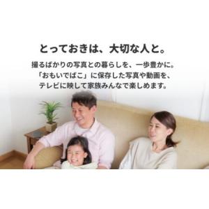 ふるさと納税 BUFFALO おもいでばこ D...の詳細画像3