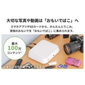 ふるさと納税 BUFFALO おもいでばこ D...の詳細画像4