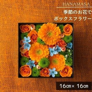 ふるさと納税 季節のお花でボックスアレンジメント（16cm×16cm）【 神奈川県 小田原市 】 神...