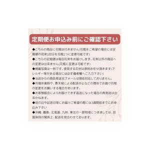 ふるさと納税 【定期便 全3回・毎月】「毎月」...の詳細画像2