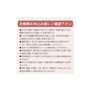 ふるさと納税 【定期便 全3回・毎月】「毎月」...の詳細画像3