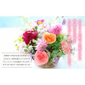 ふるさと納税 【定期便12回】ふるさと山形四季...の詳細画像1