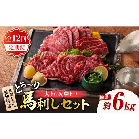 ふるさと納税 12回定期便サシが決めてトロ?り馬刺しセット計約500g醤油付き 霜降り馬刺しZBK0...
