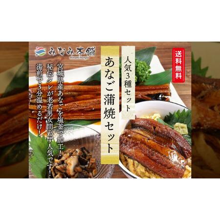 ふるさと納税 穴子 【宮城】あなご蒲焼セット（丼・刻み・長焼）　【04203-0699】 穴子 穴子...