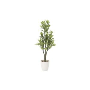 ふるさと納税 光の楽園　レモン1.25【配送不可：北海道・沖縄・離島】 雑貨 日用品 植物 造花 静岡県浜松市