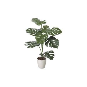 ふるさと納税 光の楽園　モンステラ1.0【配送不可：北海道・沖縄・離島】 雑貨 日用品 植物 造花 静岡県浜松市