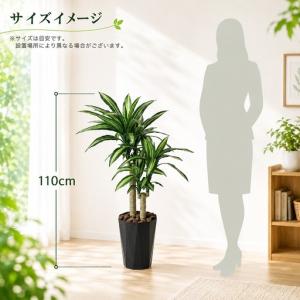 ふるさと納税 光の楽園 幸福の木1.1【配送不...の詳細画像1