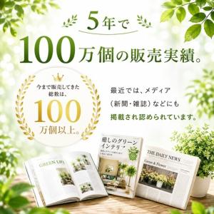 ふるさと納税 光の楽園 幸福の木1.1【配送不...の詳細画像2