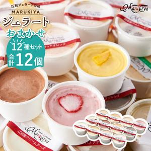 ふるさと納税 【合計 12個】ジェラートおまかせ 12個セット EB8-0291