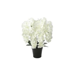 ふるさと納税 光の楽園　プレミアム胡蝶蘭７本立W【配送不可：北海道・沖縄・離島】 雑貨 日用品 植物 造花 静岡県浜松市