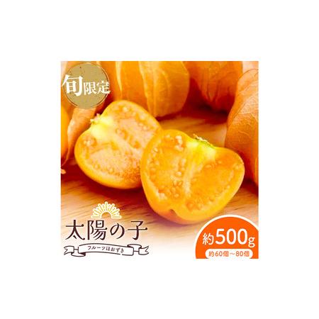 ふるさと納税 【2026年発送 先行予約 】フルーツ ほおずき 太陽の子 約500g のざわ農園《1...