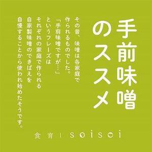 ふるさと納税 ストレスチェック&amp;あなたのなりたいを叶える食提案付 栄養プラス味噌作り体験チケット【1...