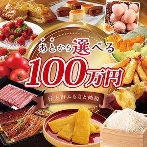 ふるさと納税 ★あとから選べる★茨城県行方市ふる...の商品画像