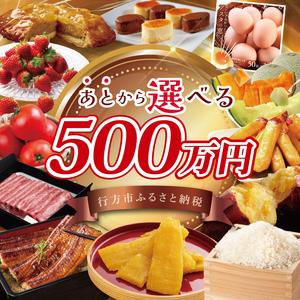 ふるさと納税 ★あとから選べる★茨城県行方市ふるさとギフト 寄附額：500万円分｜あとから選べる 後から選べる 選べる ギフト 肉 お肉 米 お米 .. 茨城県行方市