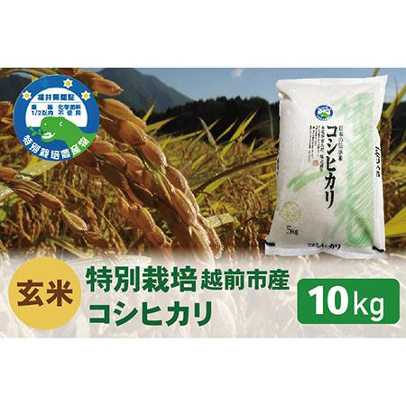 ふるさと納税 【令和5年度新米 玄米】特別栽培 越前市産コシヒカリ 10kg 福井県越前市