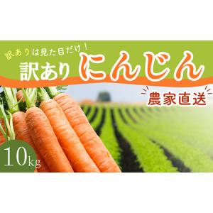 ふるさと納税 【AH052】【訳あり】堀農園のこだわり人参 約10kg 長崎県島原市｜furunavi