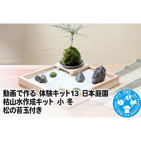 ふるさと納税 動画で作る 体験キット13 日本庭園 枯山水作成キット 小 冬 松の苔玉付き 群馬県邑...