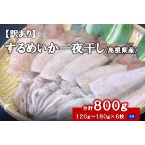 ふるさと納税 【訳あり】 するめいか一夜干し（１２０g〜１８０gｘ６枚） 魚介類 いか するめいか 一夜干し 加工品 おつまみ 訳あり ふるさと納.. 島根県浜田市｜ふるなび(ふるさと納税)