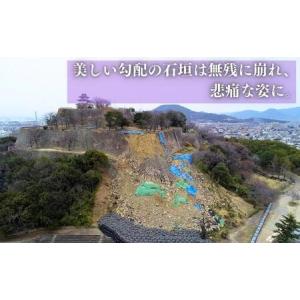 ふるさと納税 【復興支援/寄附のみ】丸亀城石垣...の詳細画像4