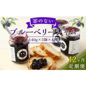 ふるさと納税 【12回定期便】 毎月届く 罪のない ブルーベリー ジャム 約420g × 12回 定期便 大分県九重町