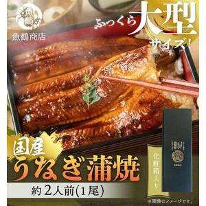 ふるさと納税 大型サイズ　ふっくら柔らか　国産うなぎ蒲焼き　１尾（約2人前）化粧箱入【土用の丑の日の...