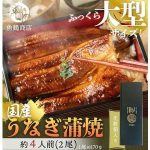 ふるさと納税 大型サイズ　ふっくら柔らか　国産うなぎ蒲焼き　2尾　化粧箱入【土用の丑の日のうなぎ】【...