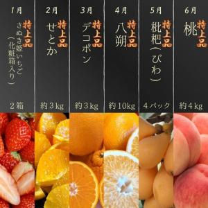 ふるさと納税 フルーツ定期便 プレミアム等級 ...の詳細画像3