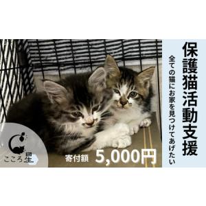 ふるさと納税 保護猫 活動支援 寄付額5,000...の商品画像
