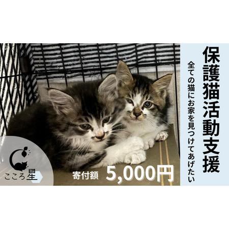 里親猫 埼玉