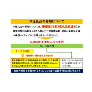 ふるさと納税 保護猫 活動支援 寄付額5,00...の詳細画像1