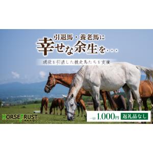 ふるさと納税 【引退競走馬 余生支援】北海道 岩内町 ホーストラスト北海道支援 1000円コース 引退馬 F21H-569 北海道岩内町｜furunavi