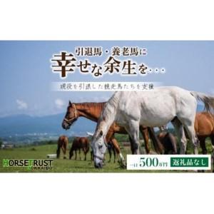 ふるさと納税 【引退競走馬 余生支援】北海道 岩内町 ホーストラスト北海道支援 500万円コース 引退馬 F21H-571 北海道岩内町