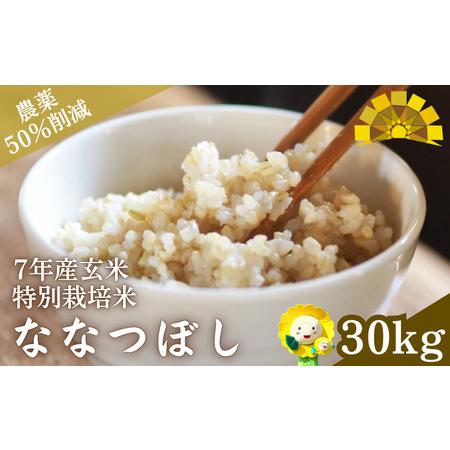 ふるさと納税 【令和7年産特別栽培米】玄米 ななつぼし 30kg (30キロ)【kja400-nan...