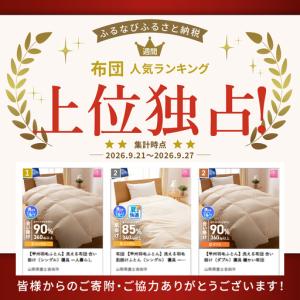 ふるさと納税 布団 【甲州羽毛ふとん】洗える羽...の詳細画像1