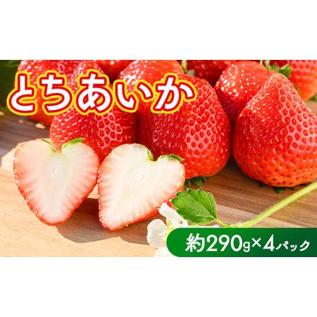 ふるさと納税 いちご（とちあいか） 290g×4パック 1.16kg以上 ｜  ※2025年11月下...