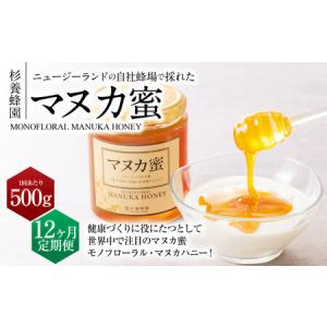 ふるさと納税 【12ヶ月定期便】 ニュージーランド産 マヌカ蜜 約500g 瓶 熊本県熊本市