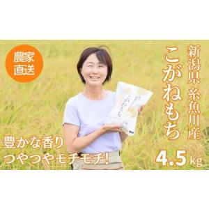ふるさと納税 新米 新潟県産 もち米『こがねもち』4.5kg（3升）【12月25日決済分まで年内発送】令和7年産 つやつやモチモチ もち米ならではの.. 新潟県糸魚川市