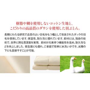ふるさと納税 IWATA 羽ぶとん(羽毛ふとん...の詳細画像1