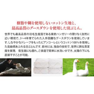 ふるさと納税 羽毛布団 シングル グースダウン...の詳細画像1